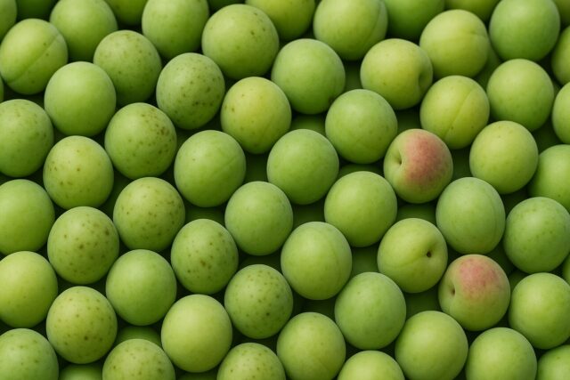 青梅は、果実じゃない。日本の“季節の薬”なんだ。」──初夏の奇跡と薬膳の知恵【保存版