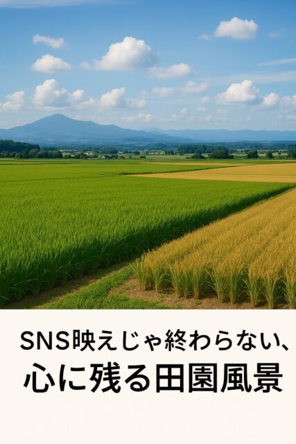✅ 3|SNS映えじゃ終わらない、心に残る田園風景