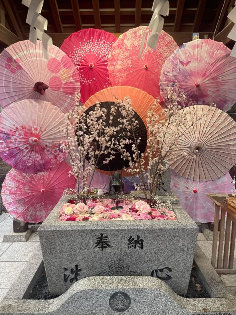 🌸花手水が美しすぎて言葉を失う|季節の花が心を洗う