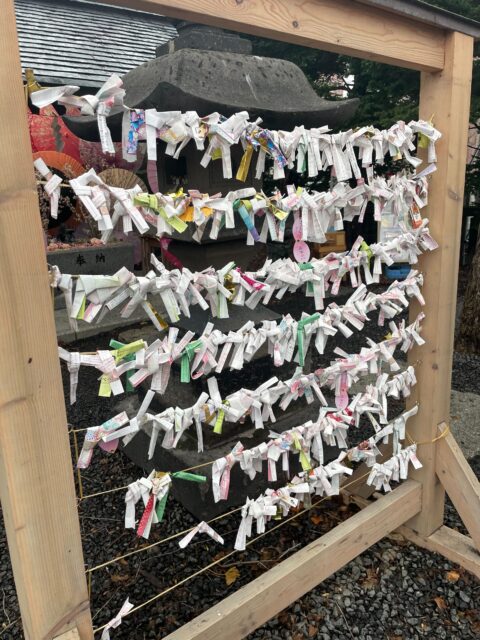 🧵なぜ日本人はおみくじを“木に結ぶ”の?