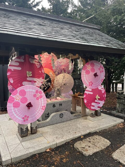 🌸花手水が美しすぎて言葉を失う|季節の花が心を洗う