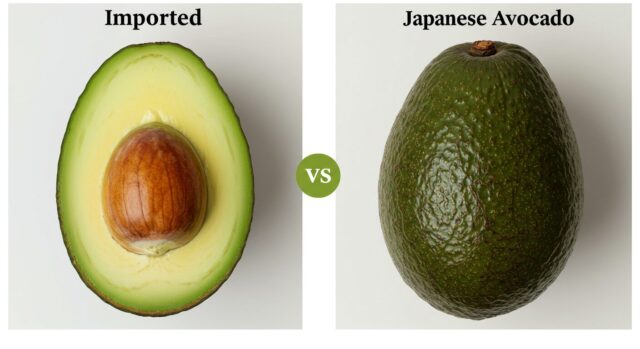 国産アボカド、何がそんなに違うの?