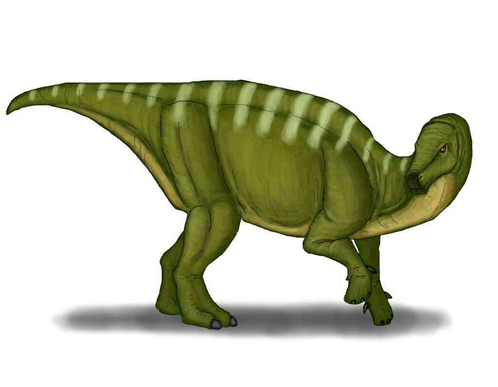 ⑤ コシサウルス・カツヤマ（Koshisaurus katsuyama）