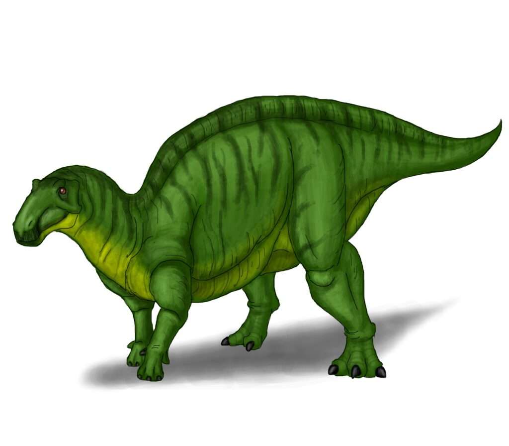 ② フクイサウルス・テトリエンシス（Fukuisaurus tetoriensis）