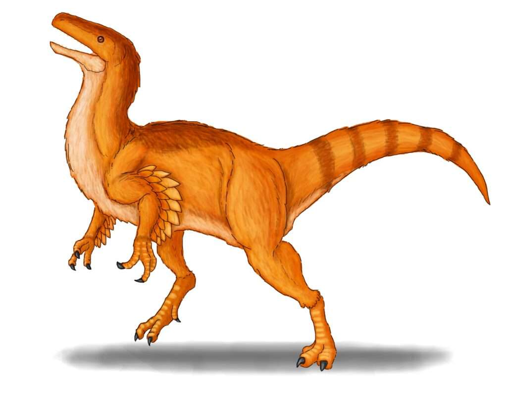 ④ フクイベナートル・パラドクサス（Fukuivenator paradoxus）