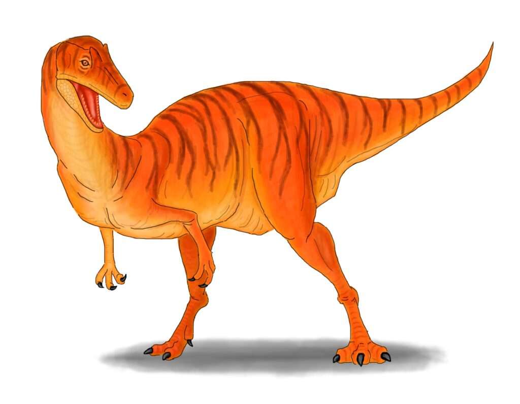① フクイラプトル・キタダニエンシス（Fukuiraptor kitadaniensis）