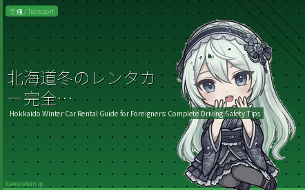北海道 レンタカー 外国人 冬 運転