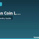 Japan Coin Laundry Guide