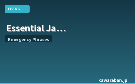Essential Japanese Phrases for Emergencies and Daily Life | Point-and-Speak Communication Guide