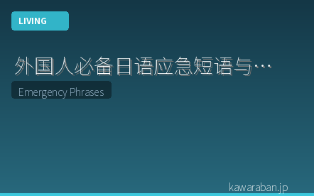 外国人必备日语应急短语与指差沟通完全指南|紧急情况实用表达